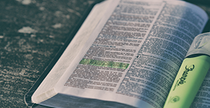 翻译理论实践与评析